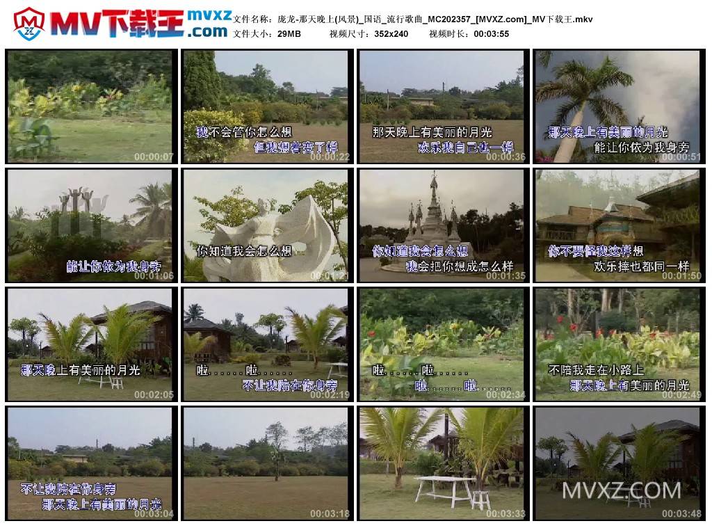 庞龙-那天晚上(风景)_国语_流行歌曲_MC202357